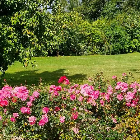 Direkt Am Lägenhet Ventschow
