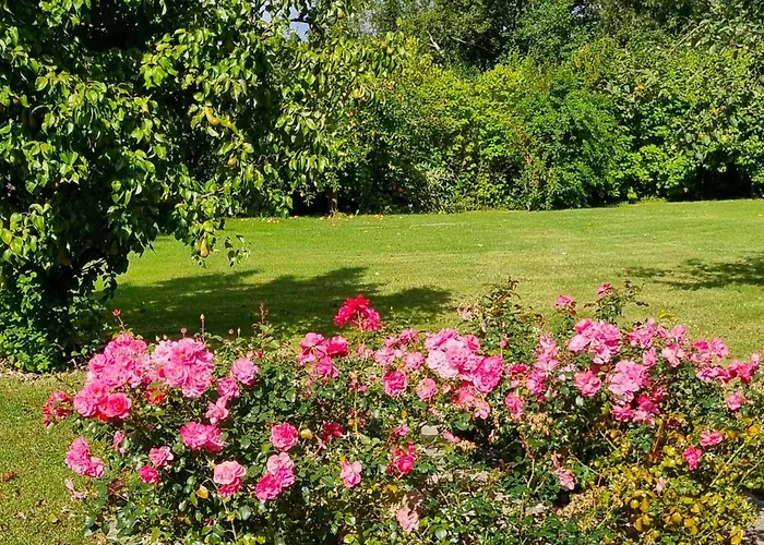 Direkt Am Апартаменты Ventschow